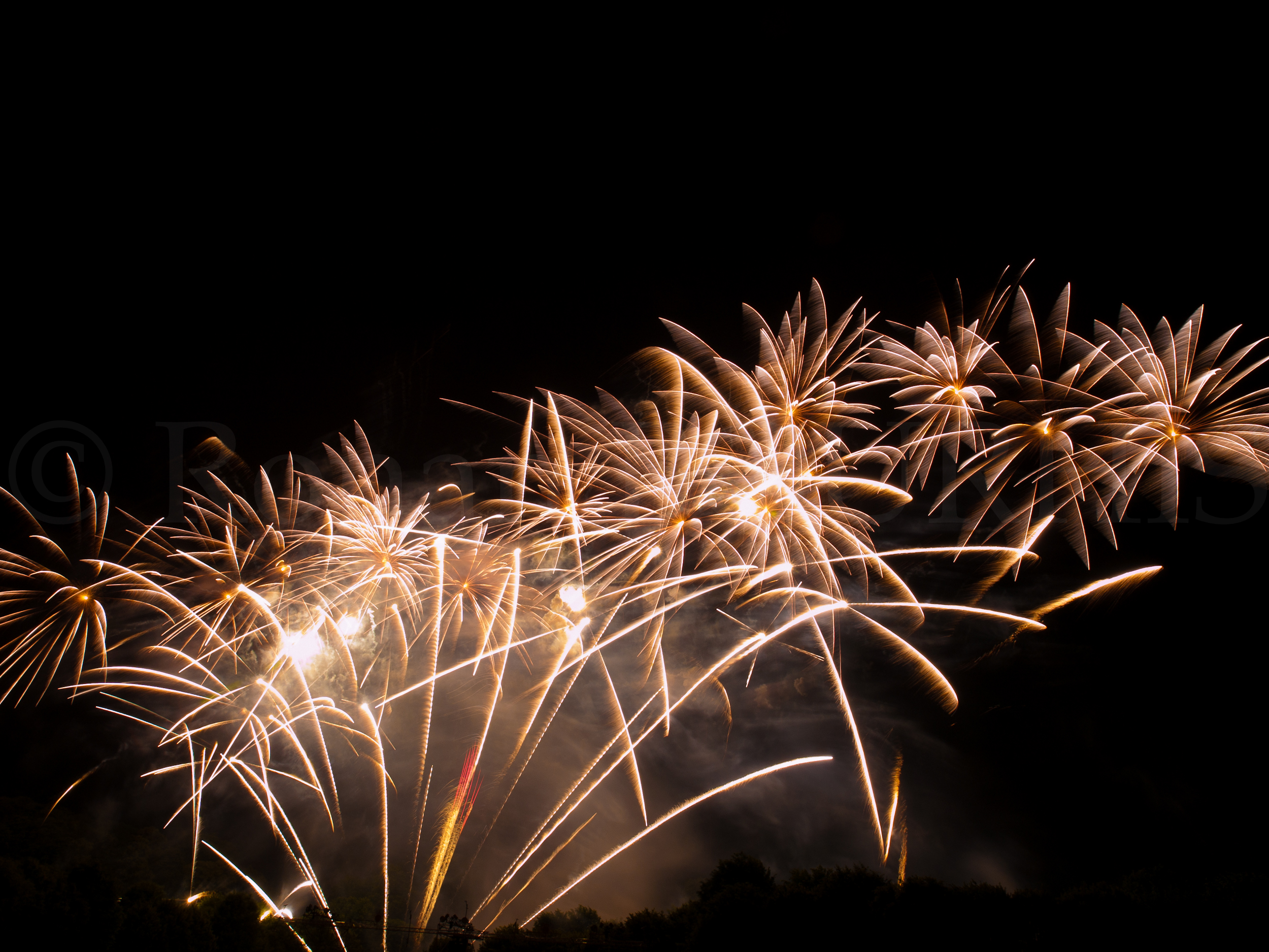 Le Grand Feux de Saint Cloud 2010, © Ronan Bourhis 2010, 