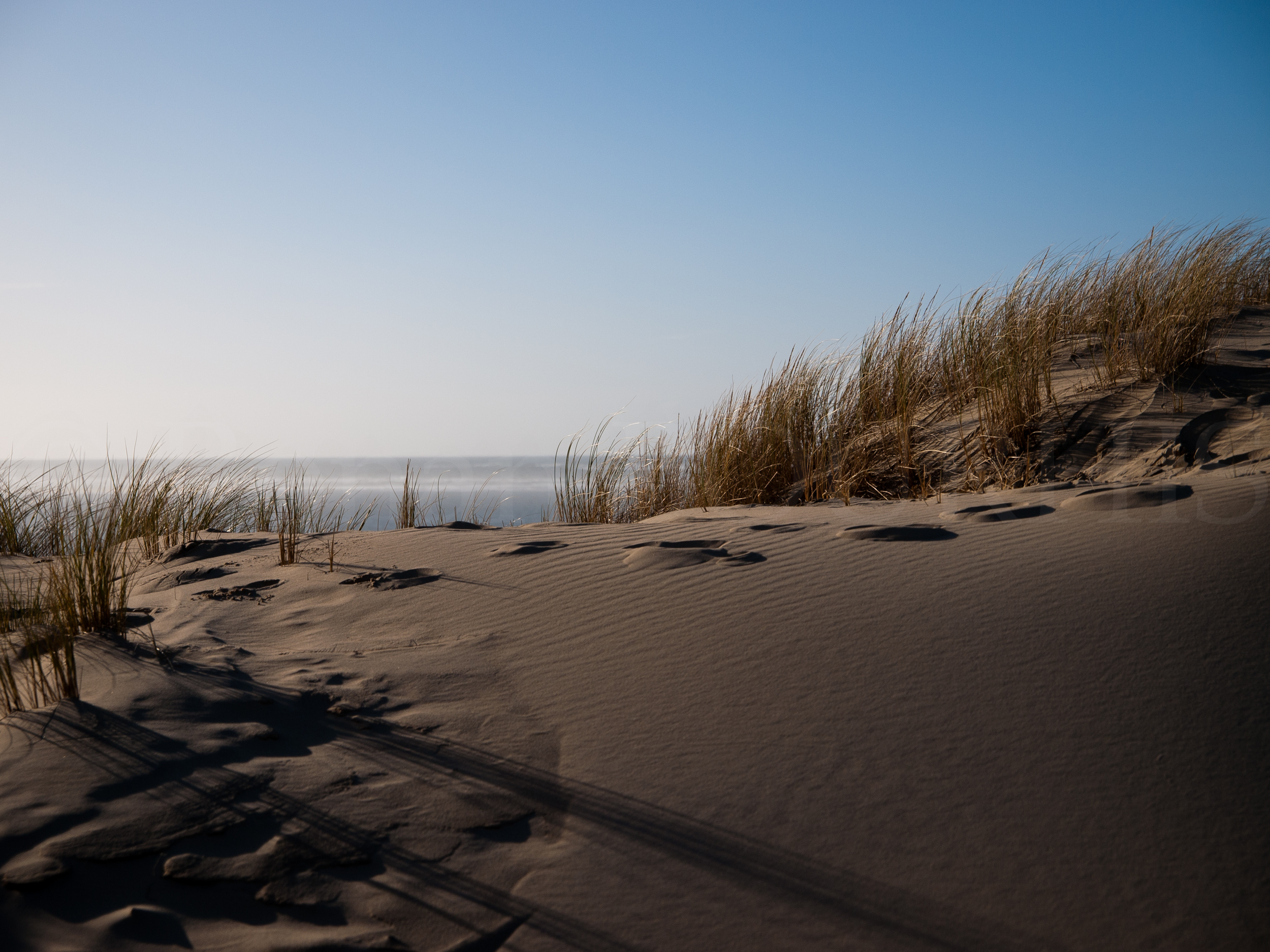 Marche sur la dune du Pyla, © Ronan Bourhis 2010, 