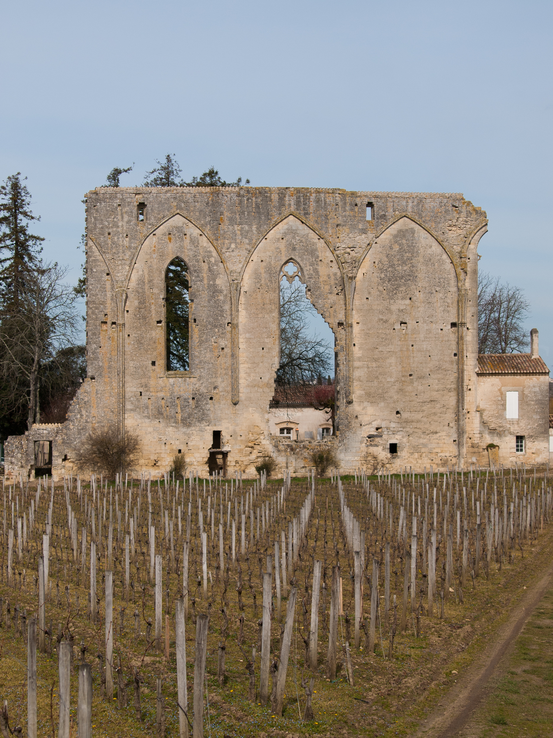 Balade a Saint Emilion, © Ronan Bourhis 2010, 