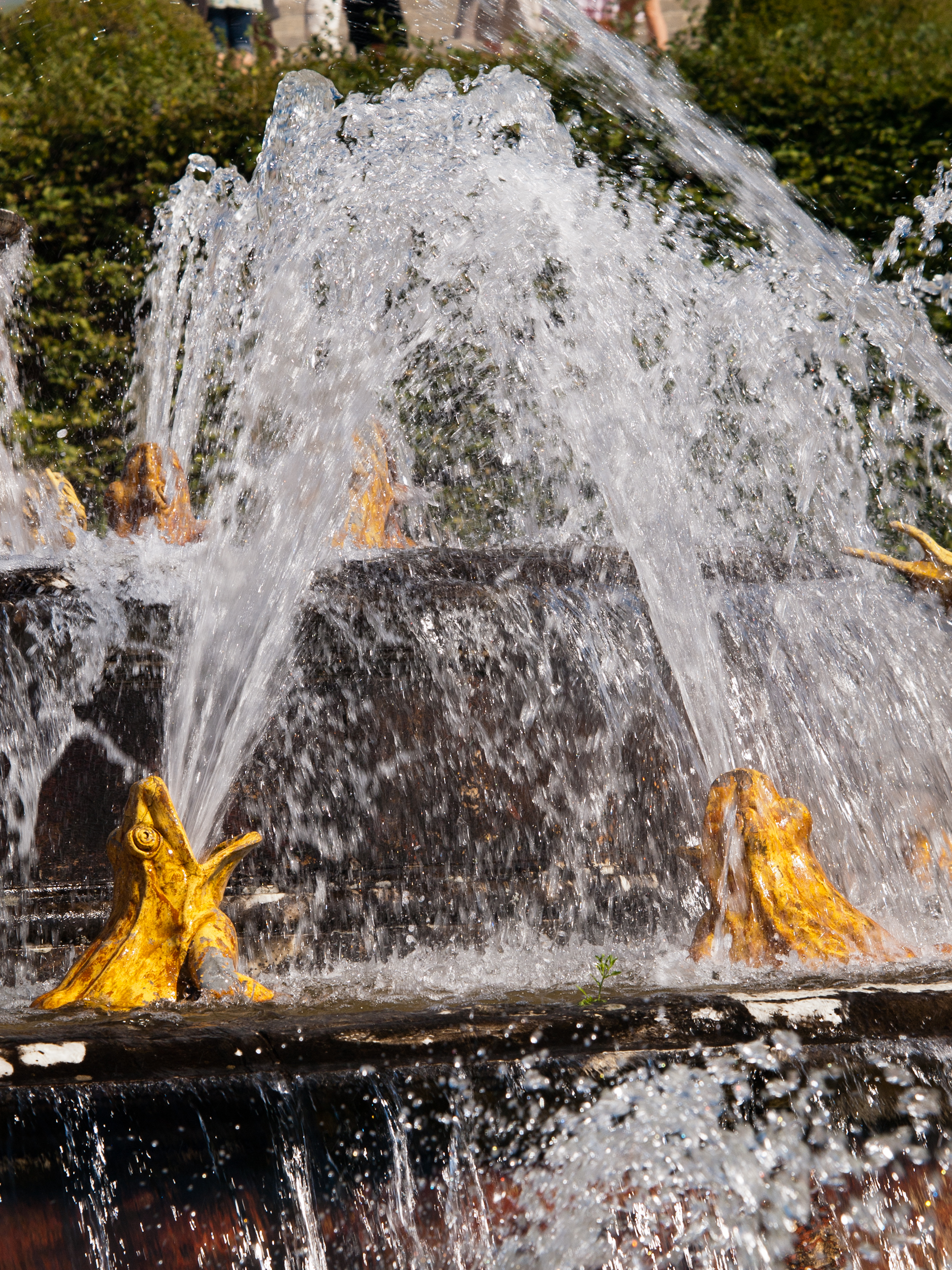 Grandes Eaux de Versailles, © Ronan Bourhis 2009, 